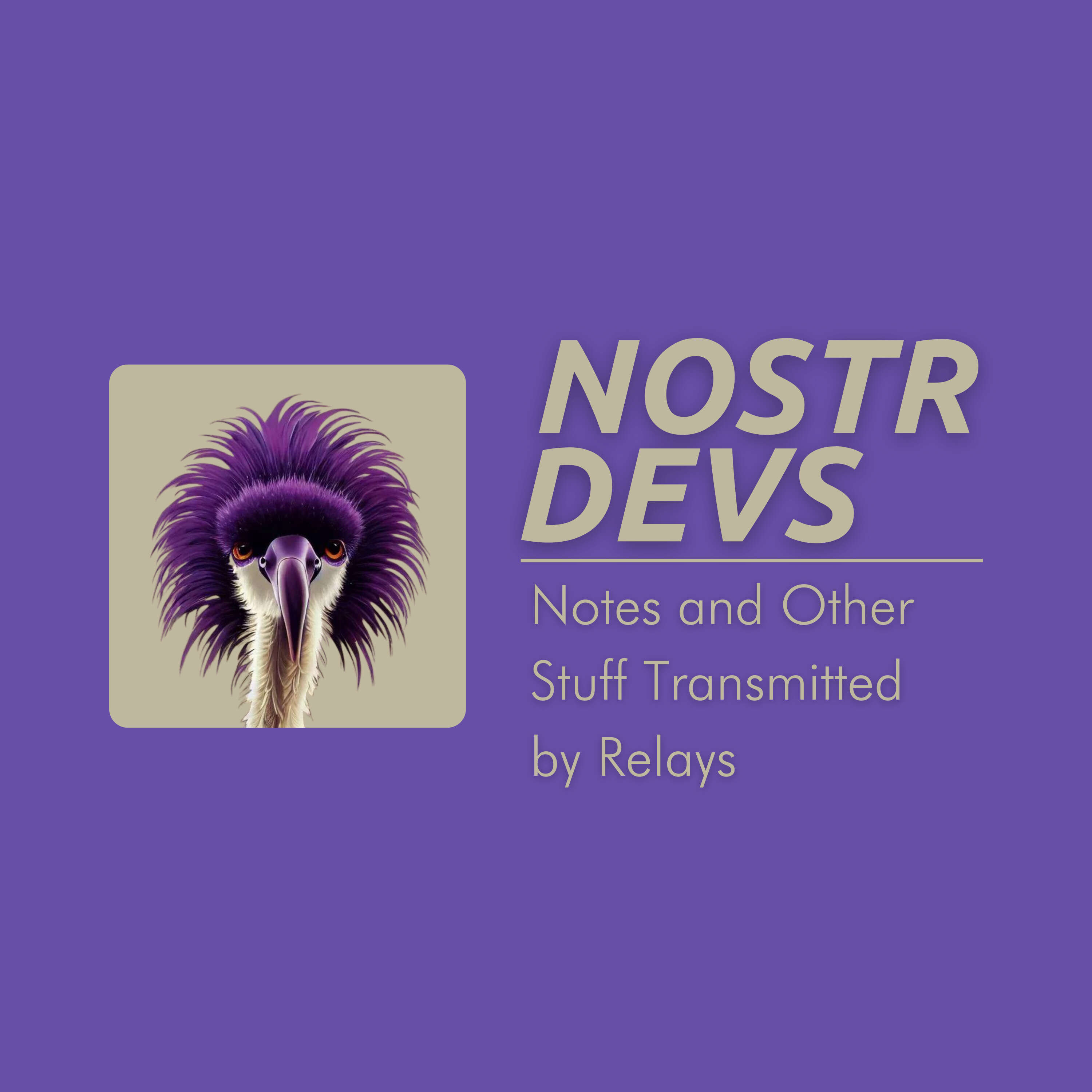 ⁣NostrDevs #6 with Super Testnet and Captain Stacks