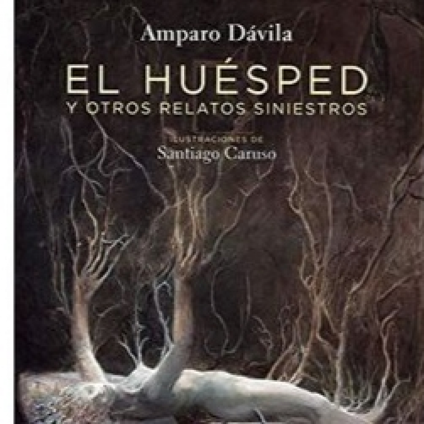 ⁣ELDT: Audio relato El Huésped de Amparo Dávila