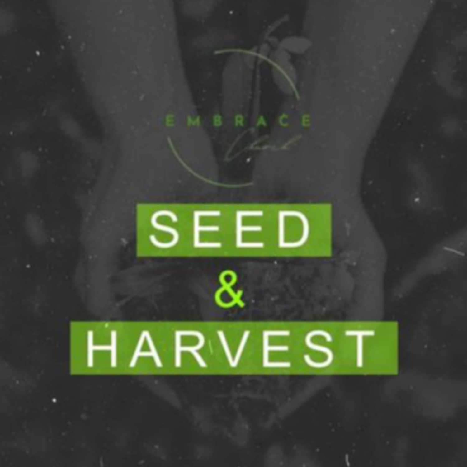 Sow the Seed