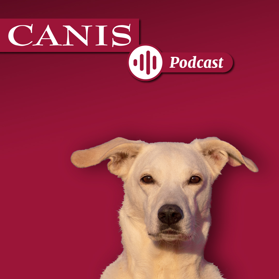 Der CANIS-Podcast – Hundeexpert:innen ausgefragt 