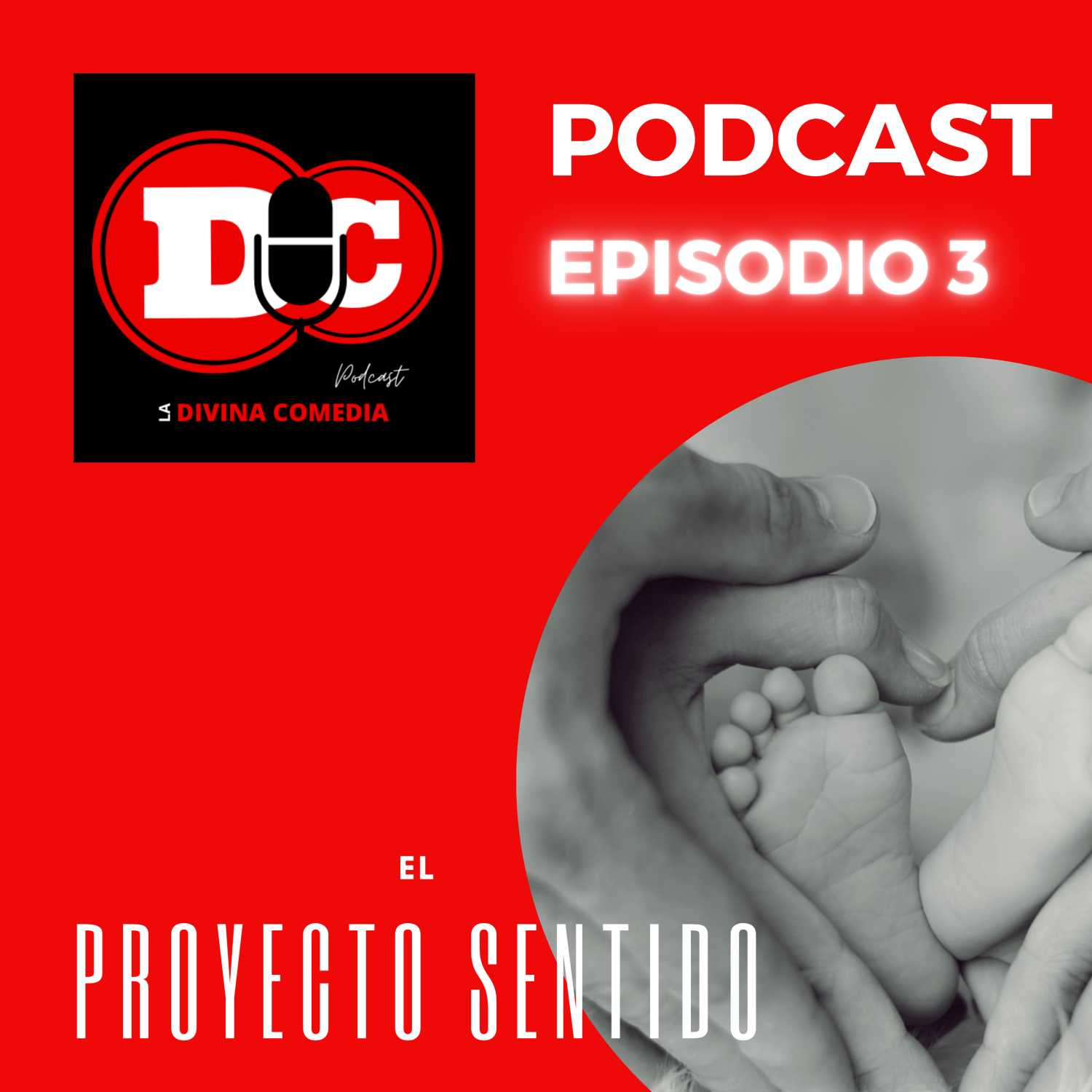 ⁣El Proyecto Sentido