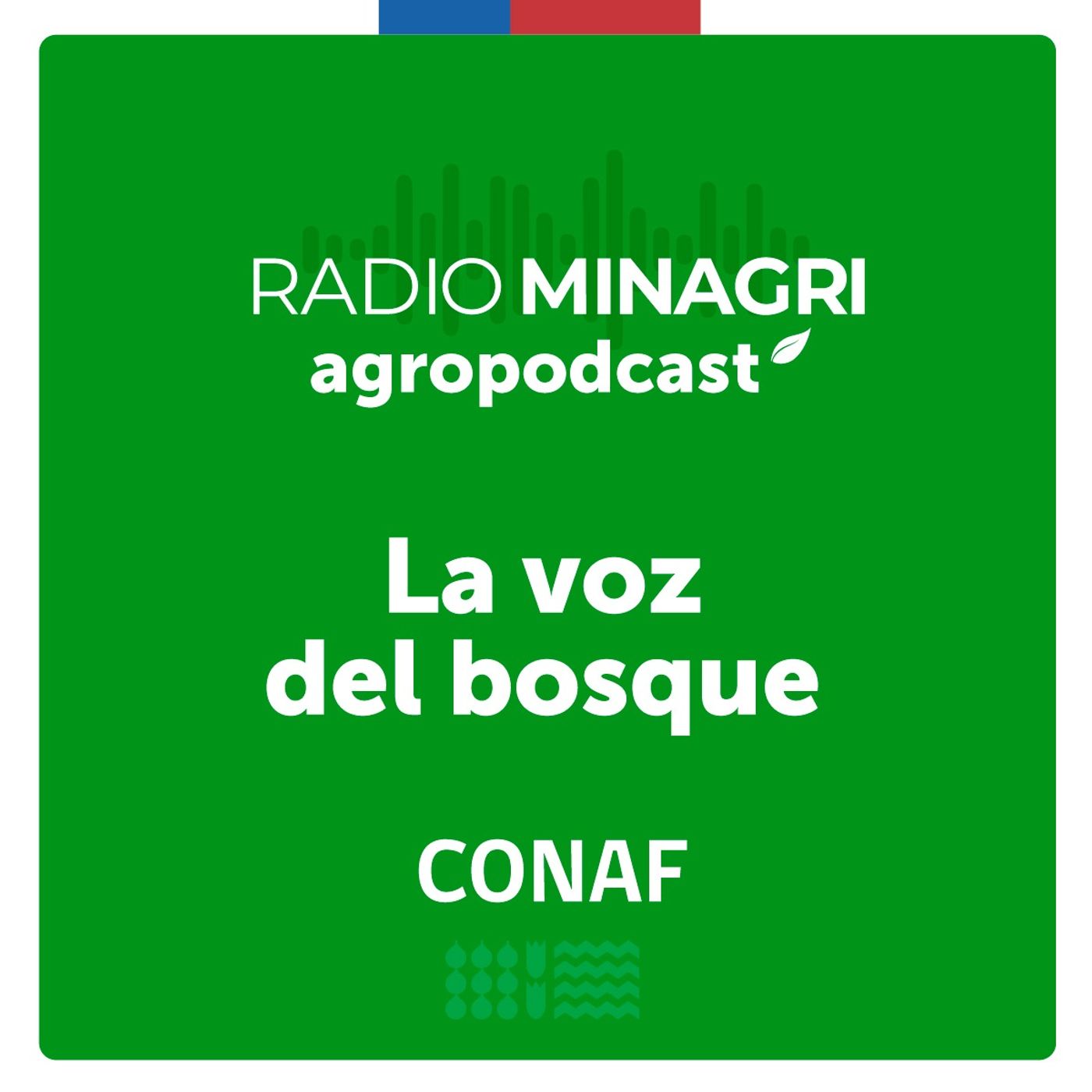 La voz del bosque – Episodio 84: Campaña nacional de reclutamiento de brigadistas forestales