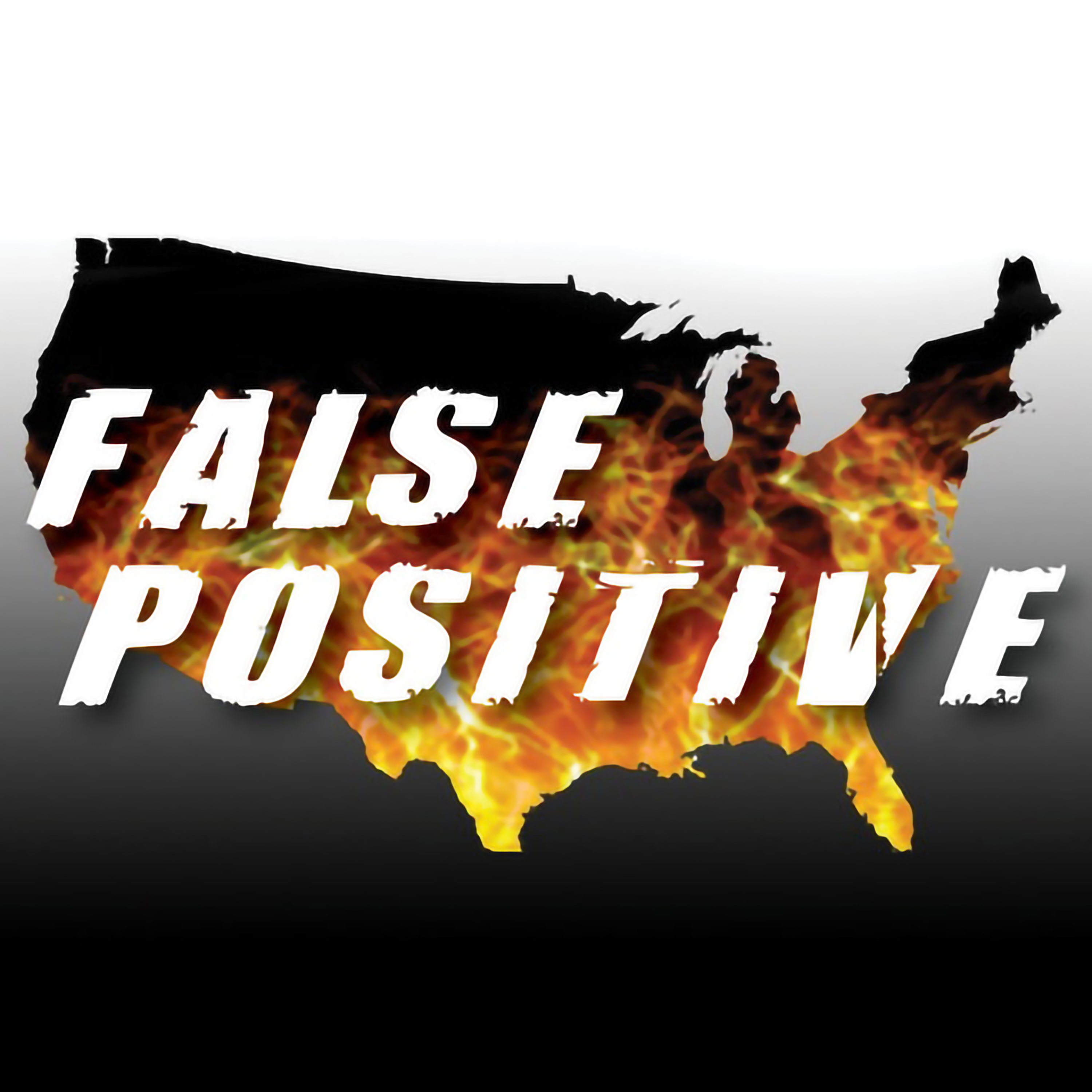 False Positive 