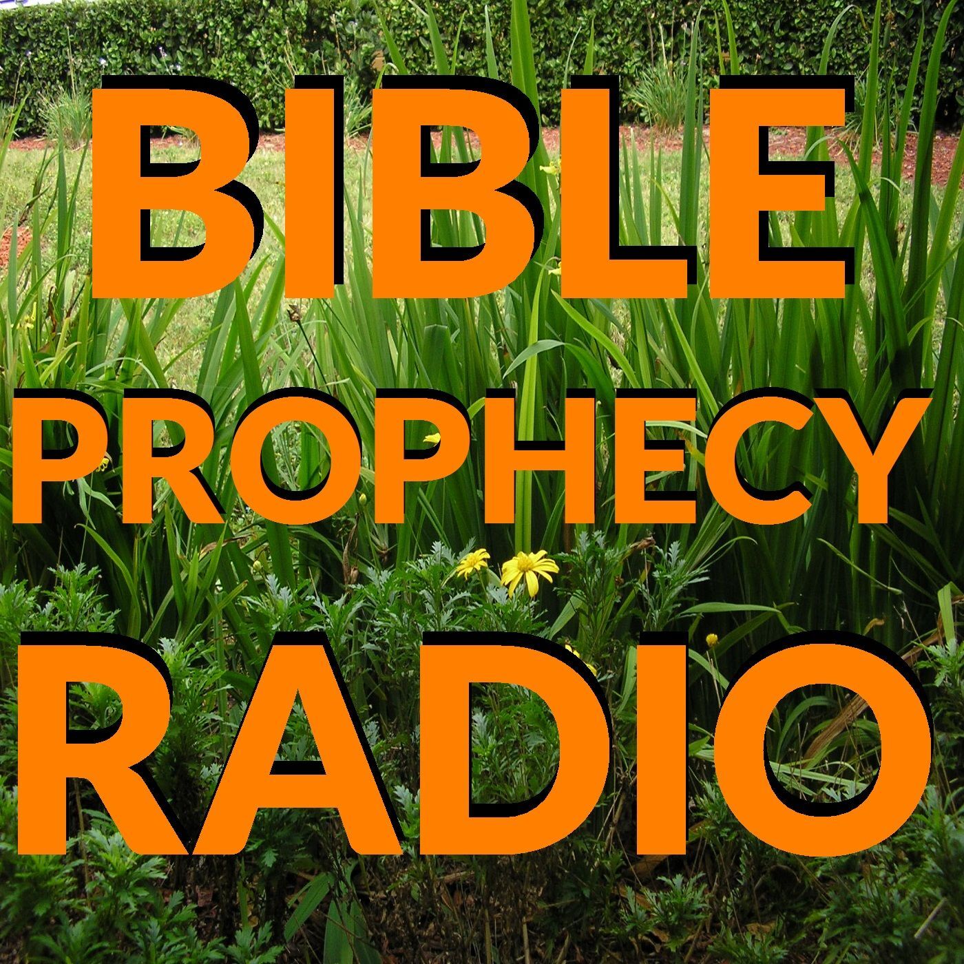 BIBLE PROPHECY RADIO 