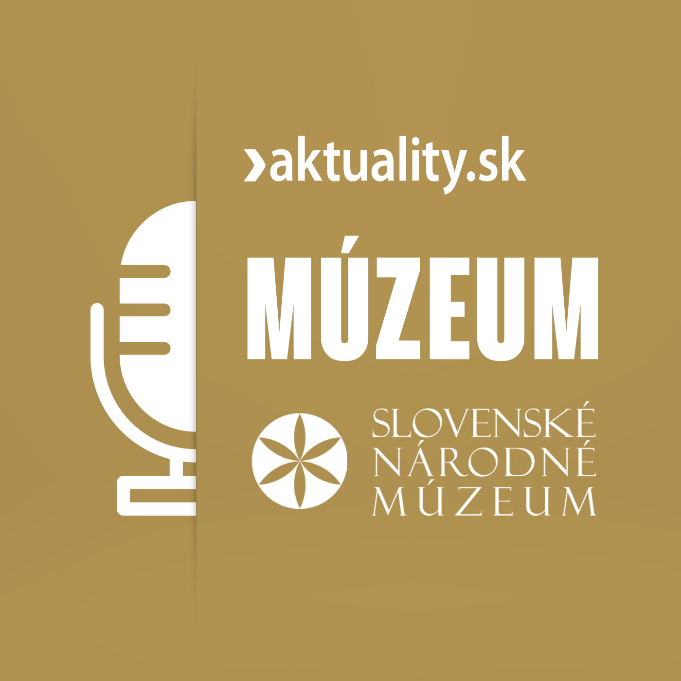 ⁣Múzeum: Vojenské denníky, či Štefánik v sukni. O hrdinoch odboja