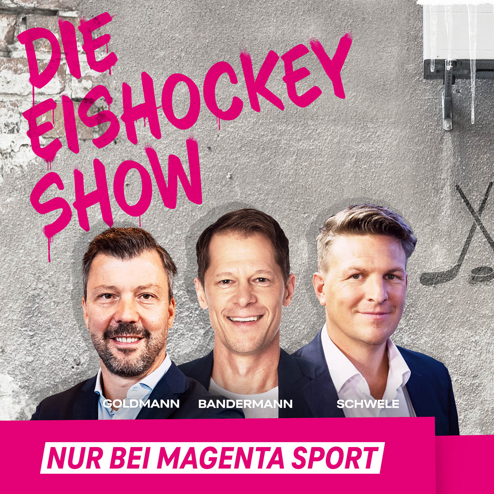 Die Eishockey Show 