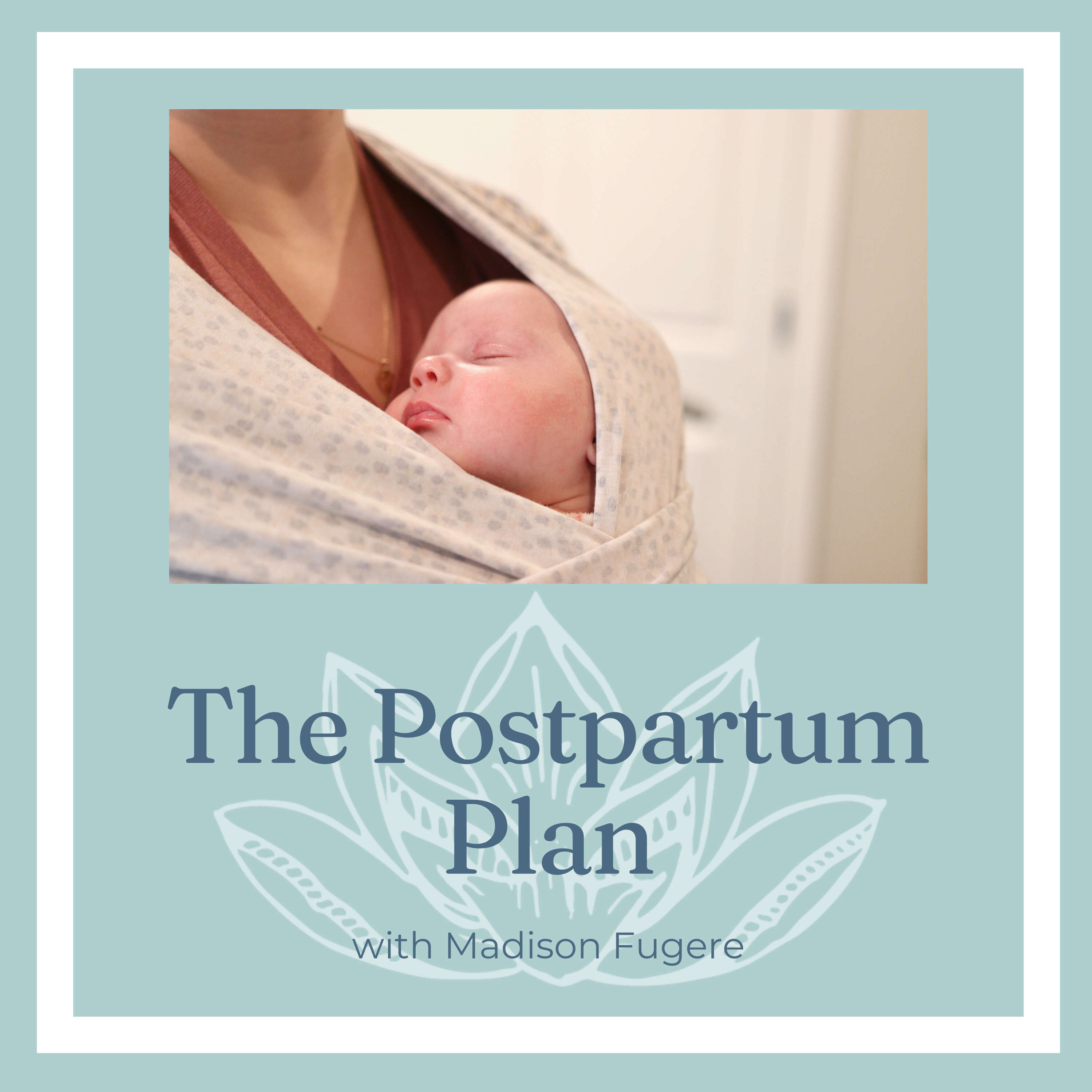 The Postpartum Plan 