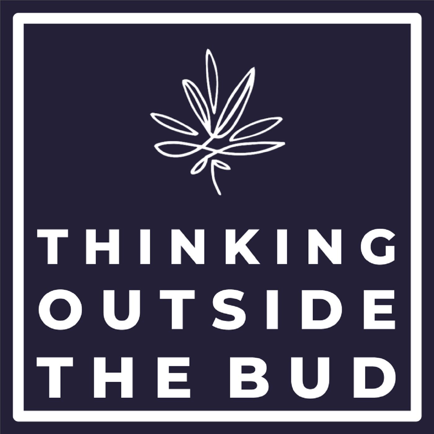 Strategies for Thriving in the Competitive Cannabis Market: A Conversation with Edward Schmults, CEO of StateHouse Holdings