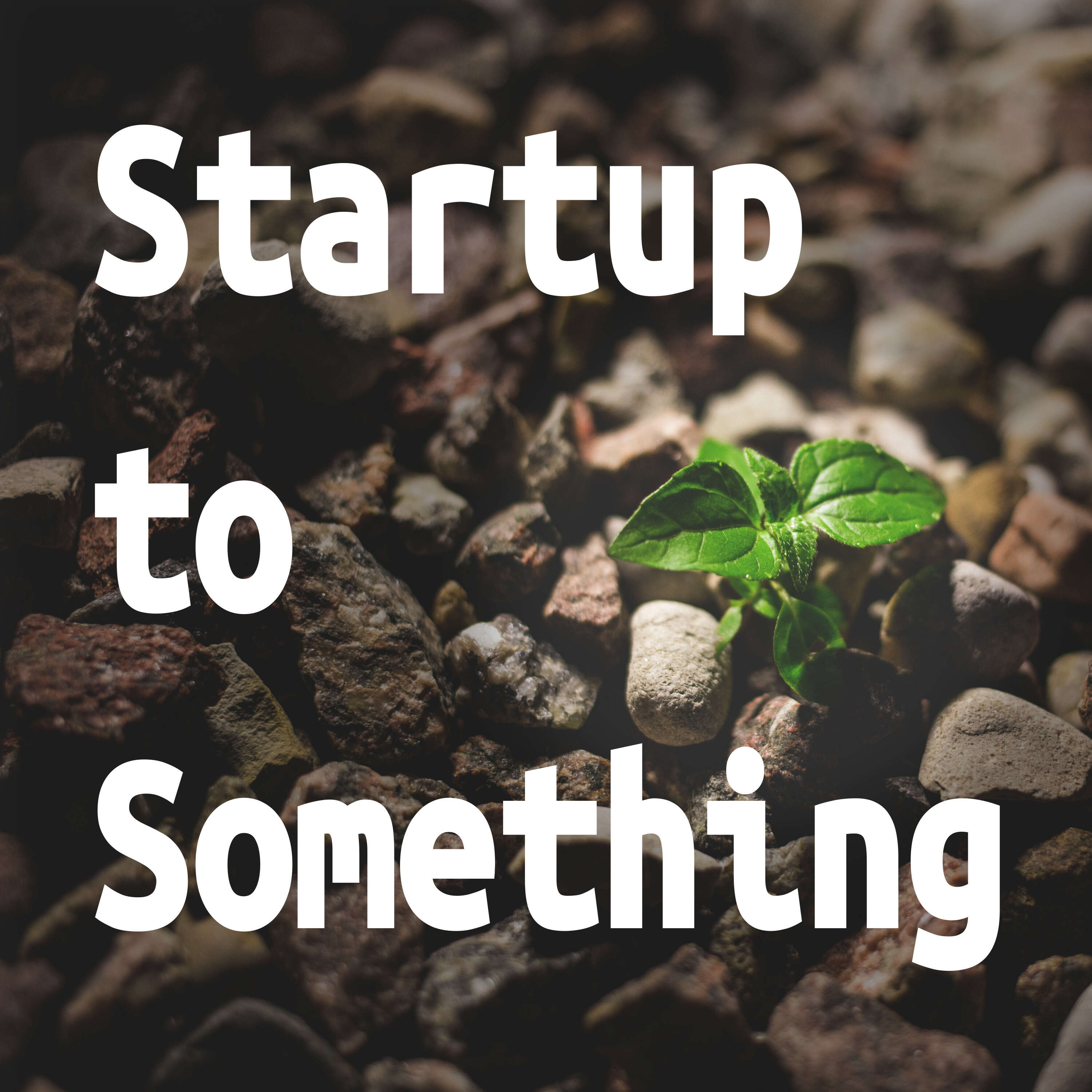 Startup to Something 