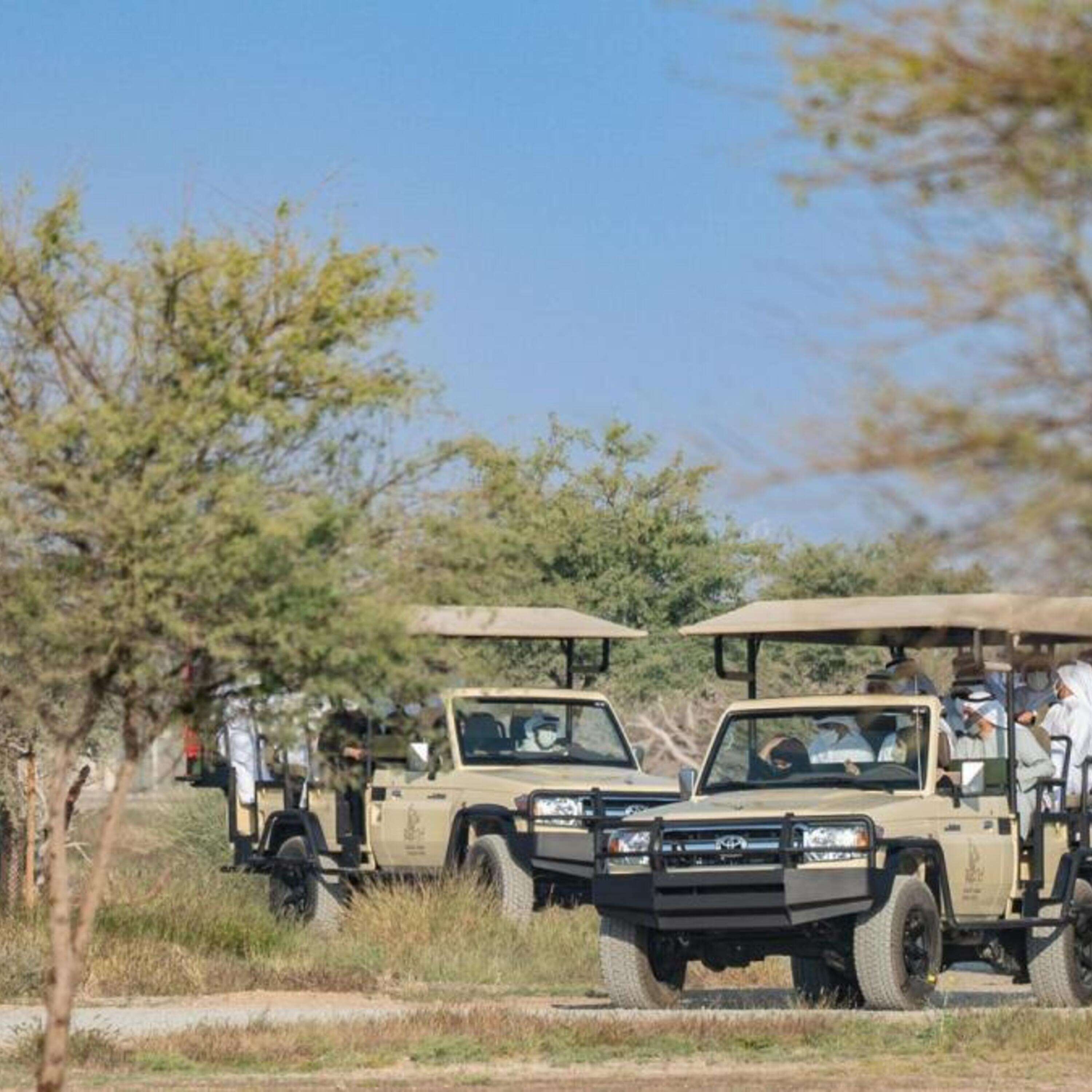 ⁣3rd Season Of Sharjah Safari Unveiled