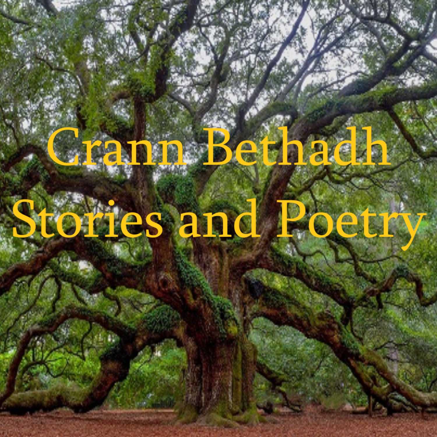 The Crann Bethadh Podcast 