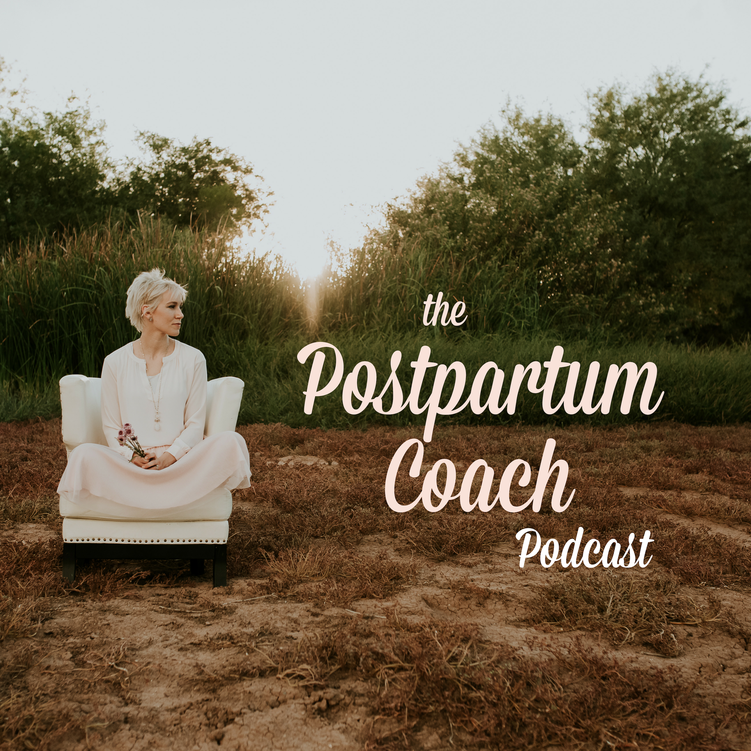 The Postpartum Coach Podcast 