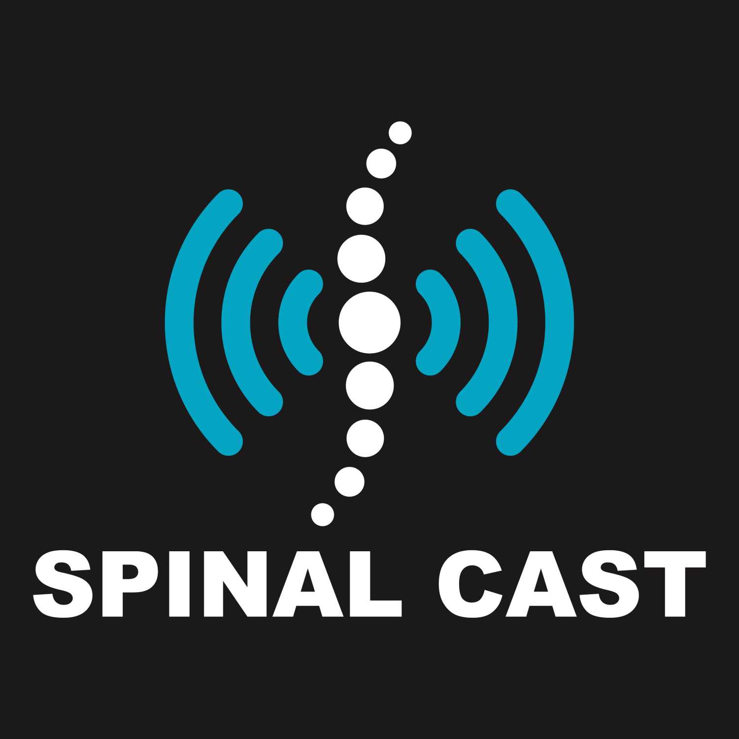 Spinal Cast 