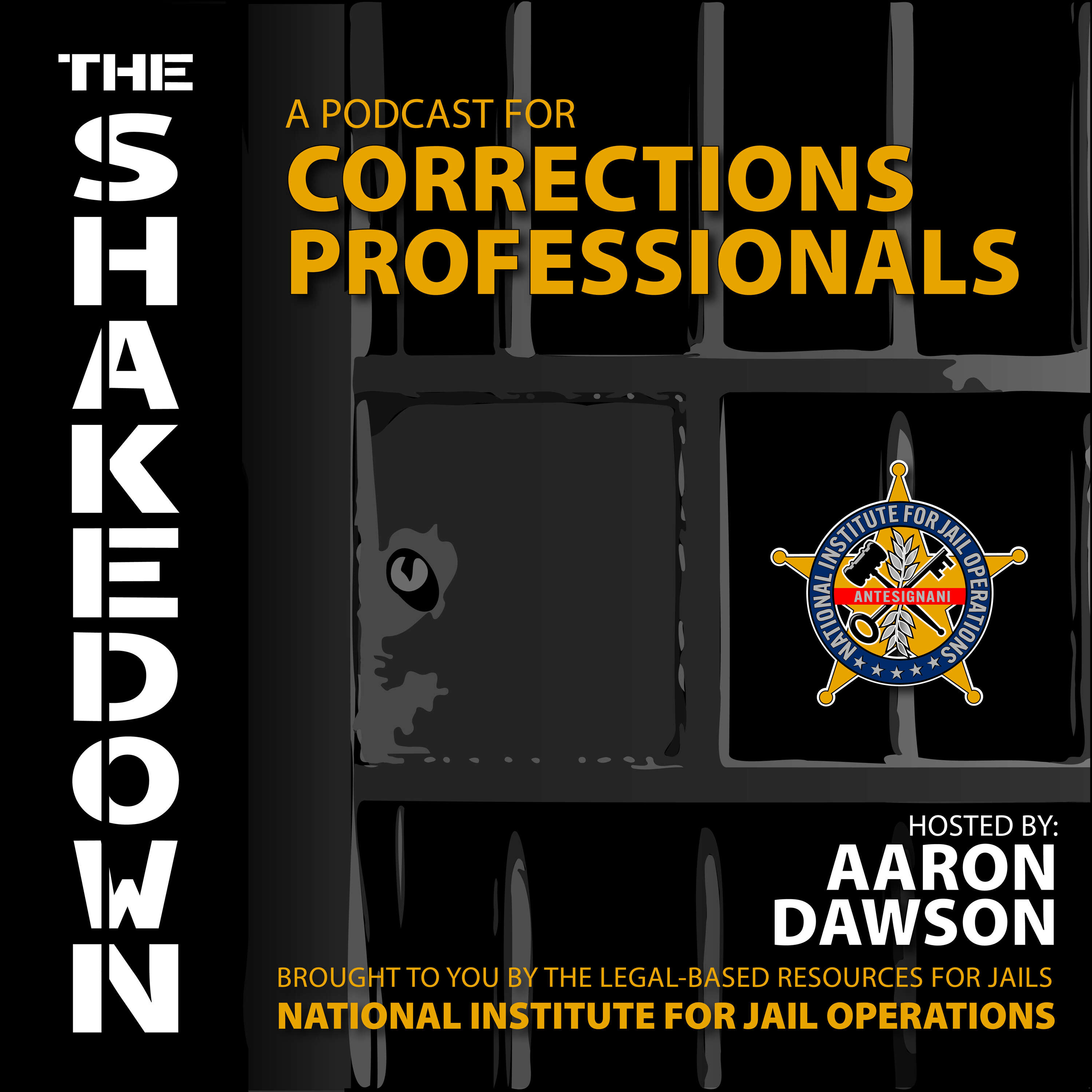 The Shakedown by National Institute for Jail Operations (NIJO) 