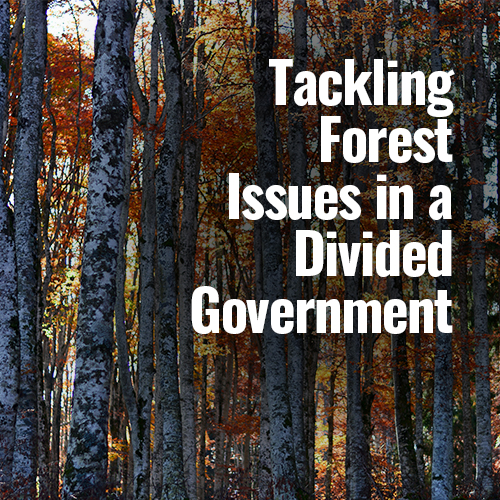 ⁣Tackling Forest Issues in a Divided Government