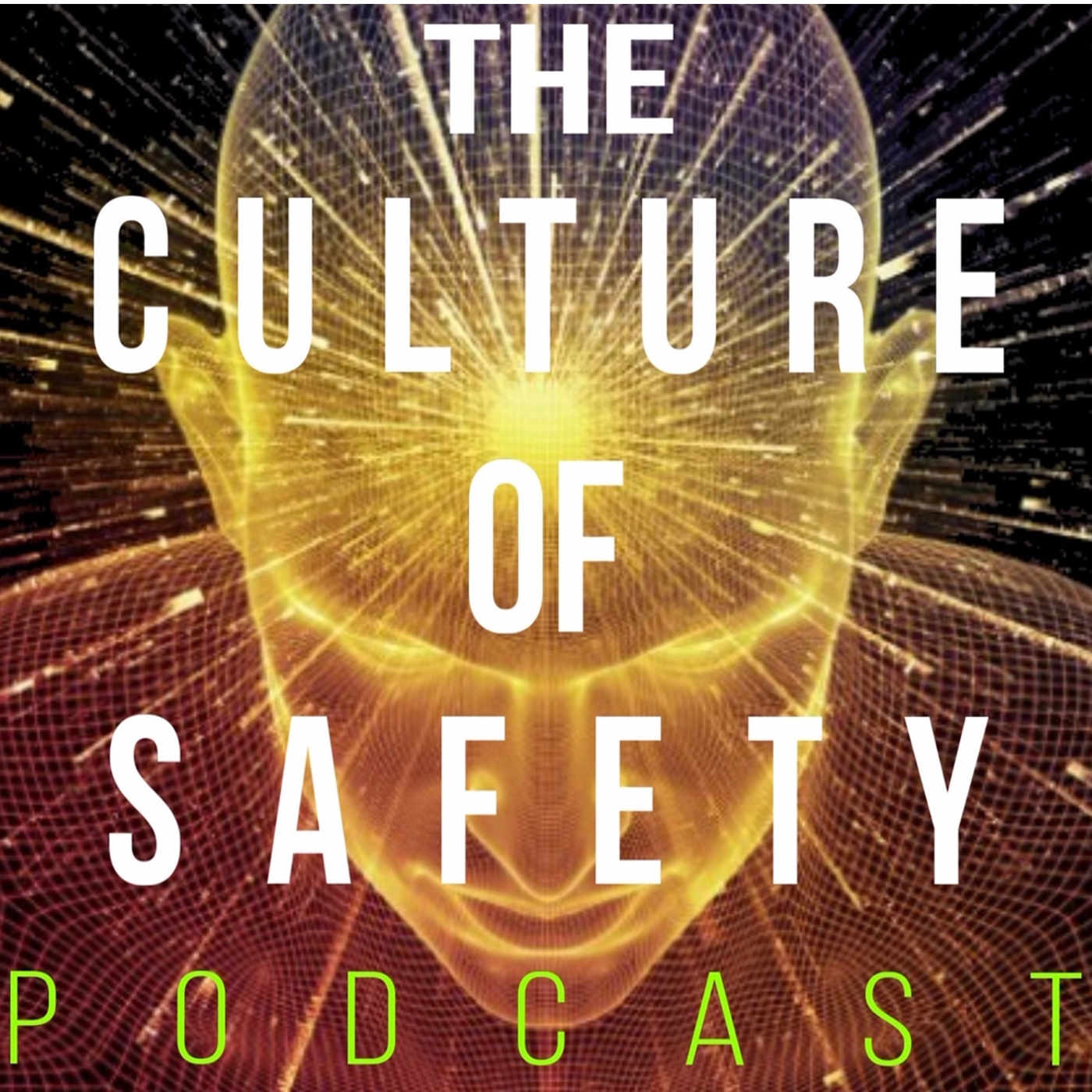 The Culture of Safety 