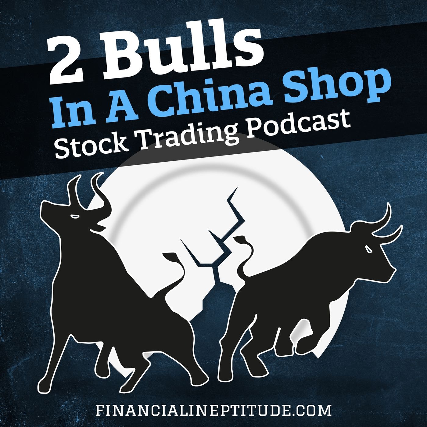 2 Bulls In A China Shop 