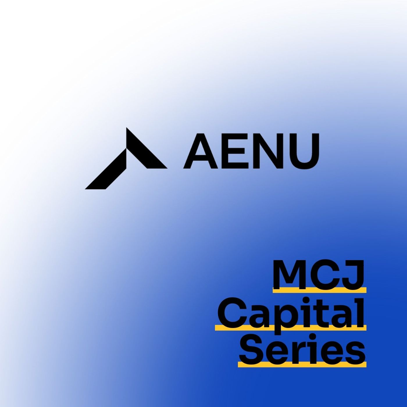 Capital Series: Fabian Heilemann, AENU