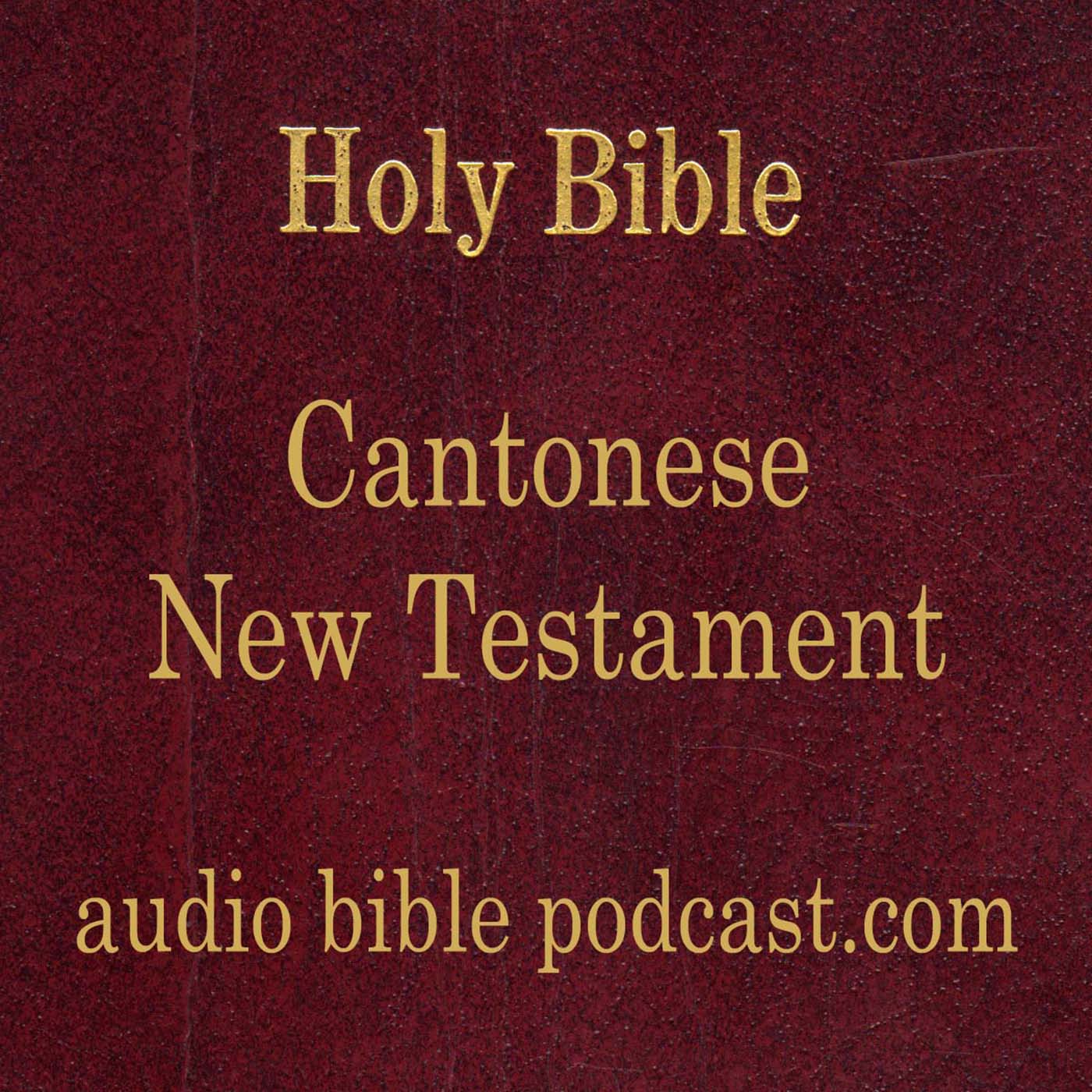 ABP - Cantonese Bible - New Testament - January Start 