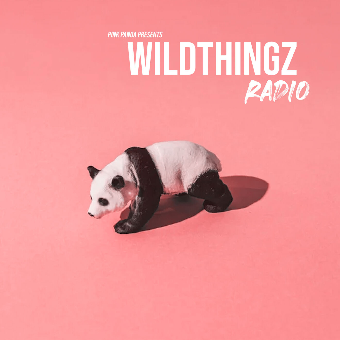 ⁣Pink Panda Presents - Wild Thingz Radio - Ep 26