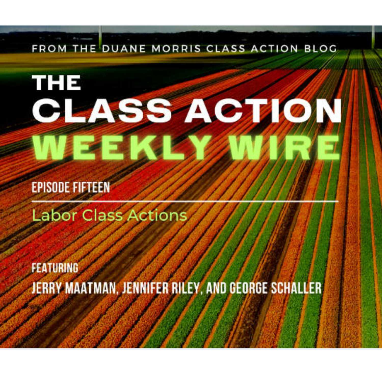 ⁣Episode 15: Labor Class Actions