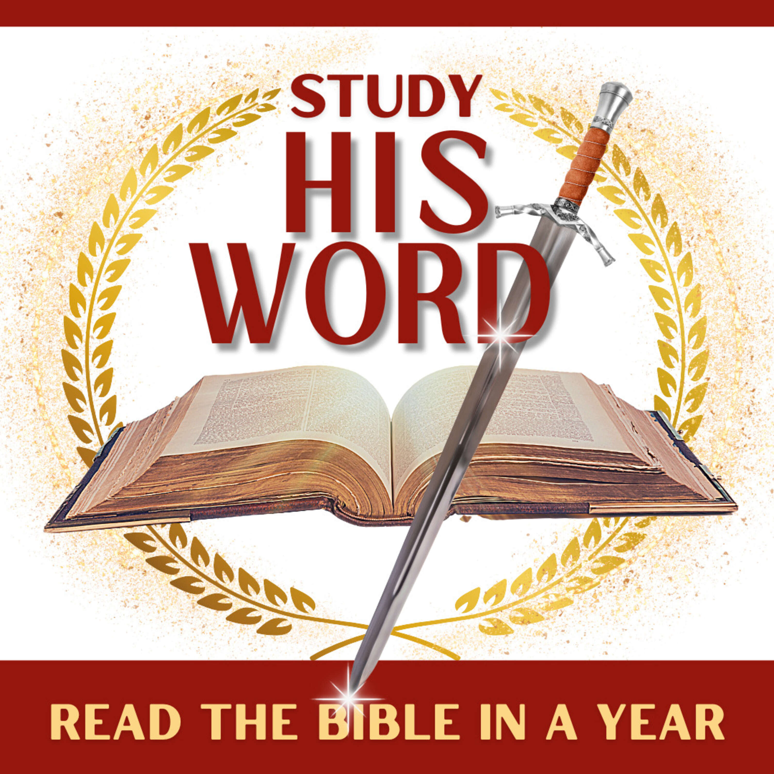 Study His Word: Read The Bible In A Year 