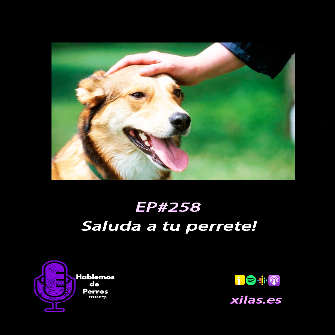 Episodio #258: Saluda a tu perrete!