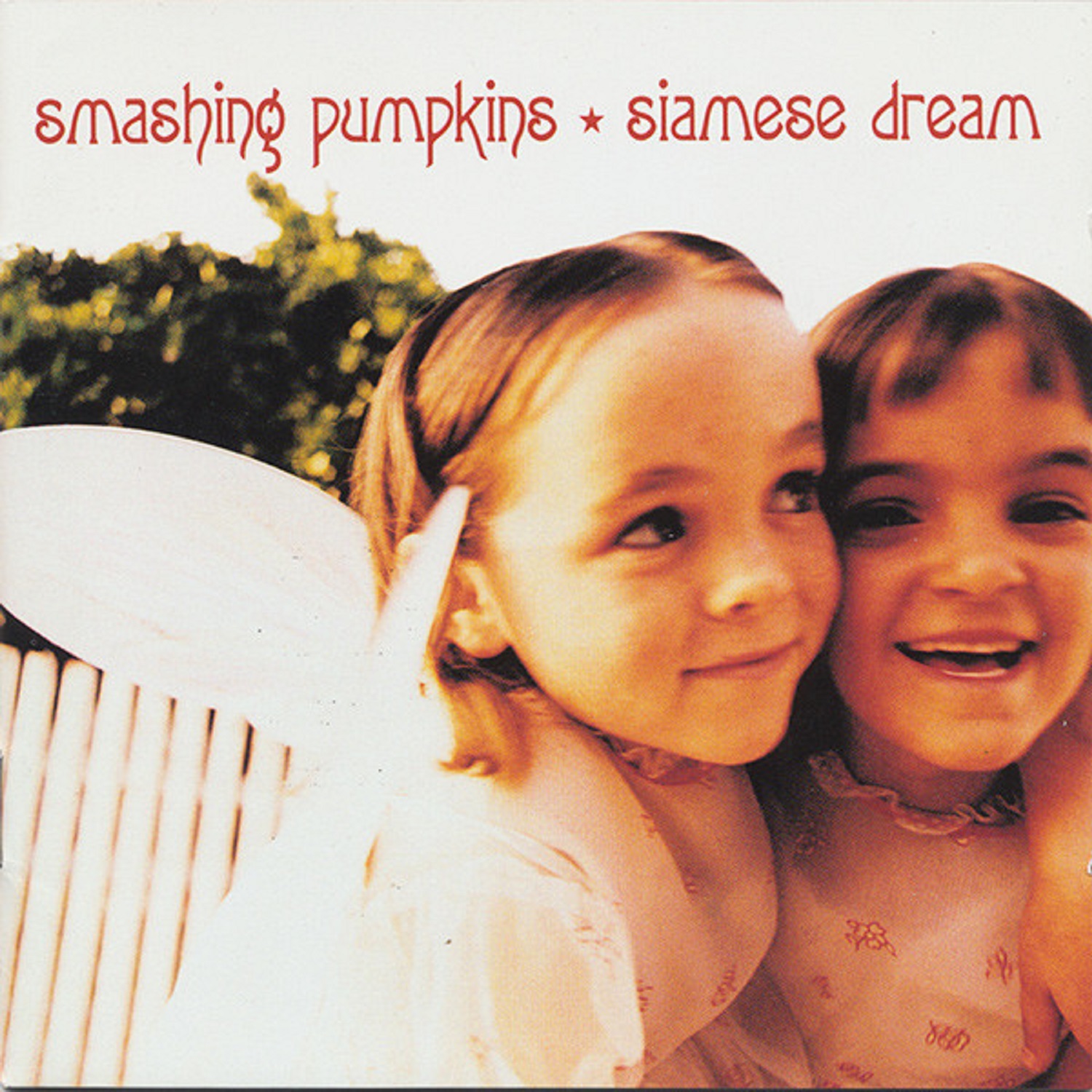 ⁣The Smashing Pumpkins - Siamese Dream