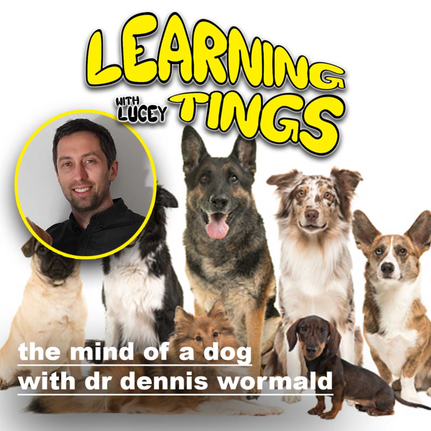 ⁣The Mind of a Dog with Dr Dennis Wormald