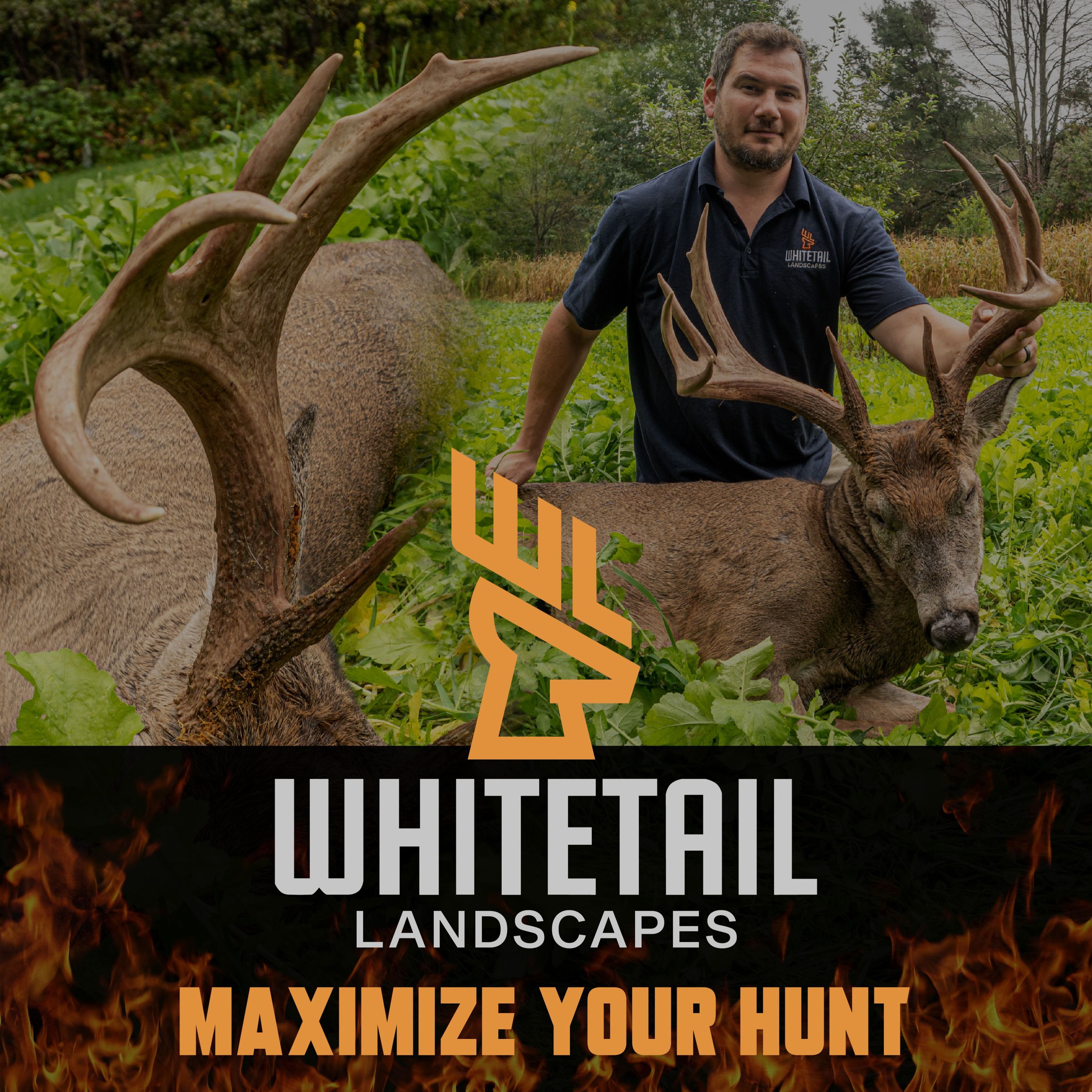 Whitetail Landscapes - Hunting & Habitat Management 