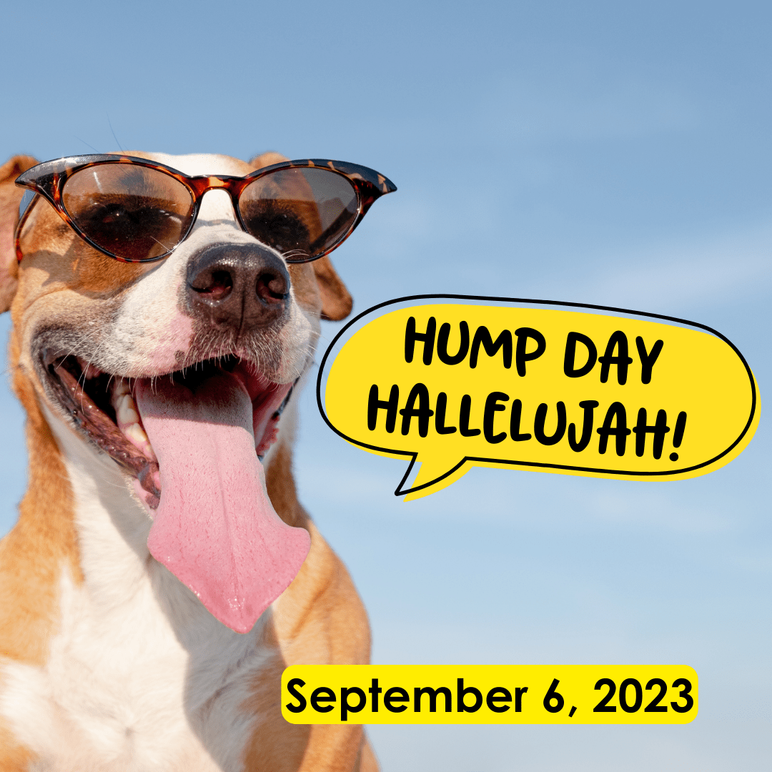 Hump Day Hallelujah!  September 6, 2023