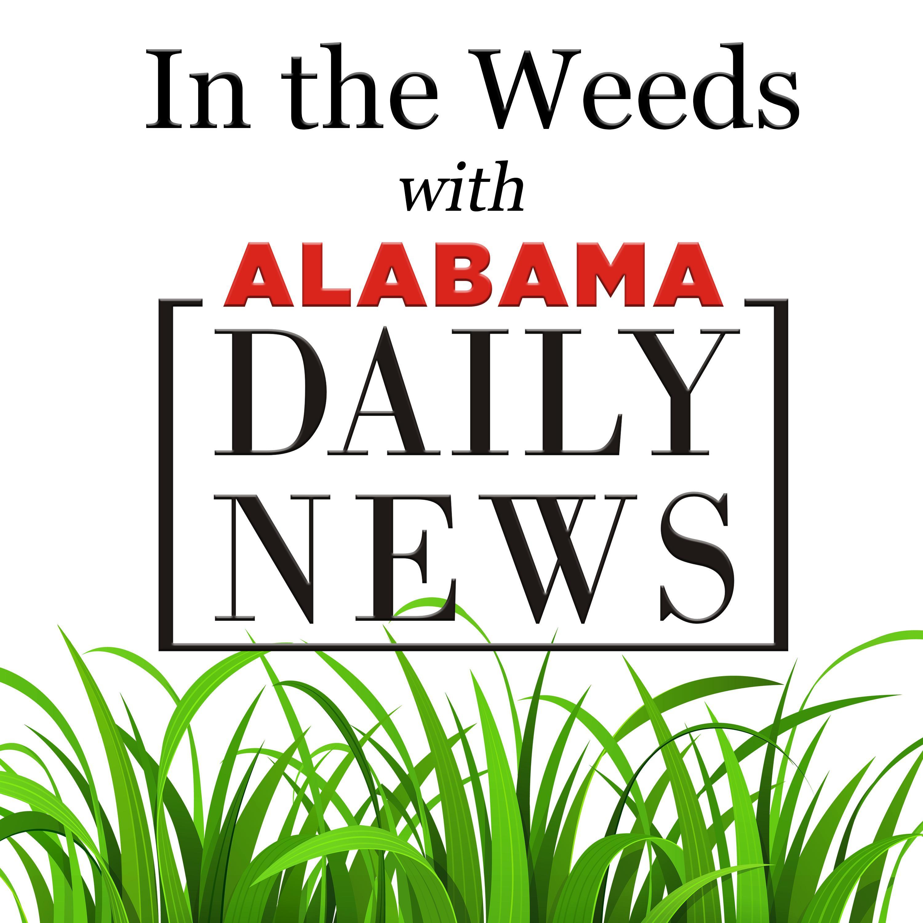 In the Weeds with Alabama Daily News 