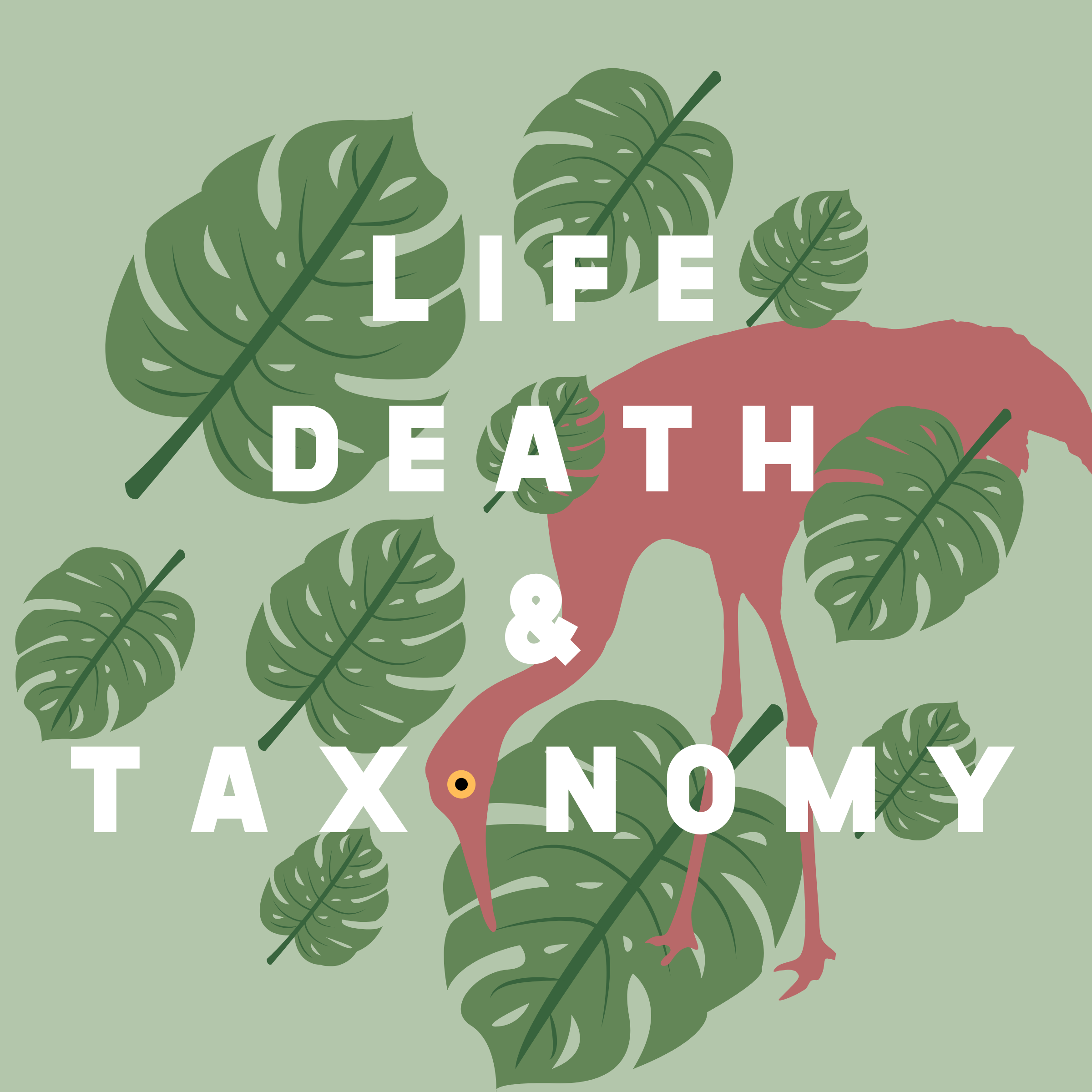 Life, Death, and Taxonomy 