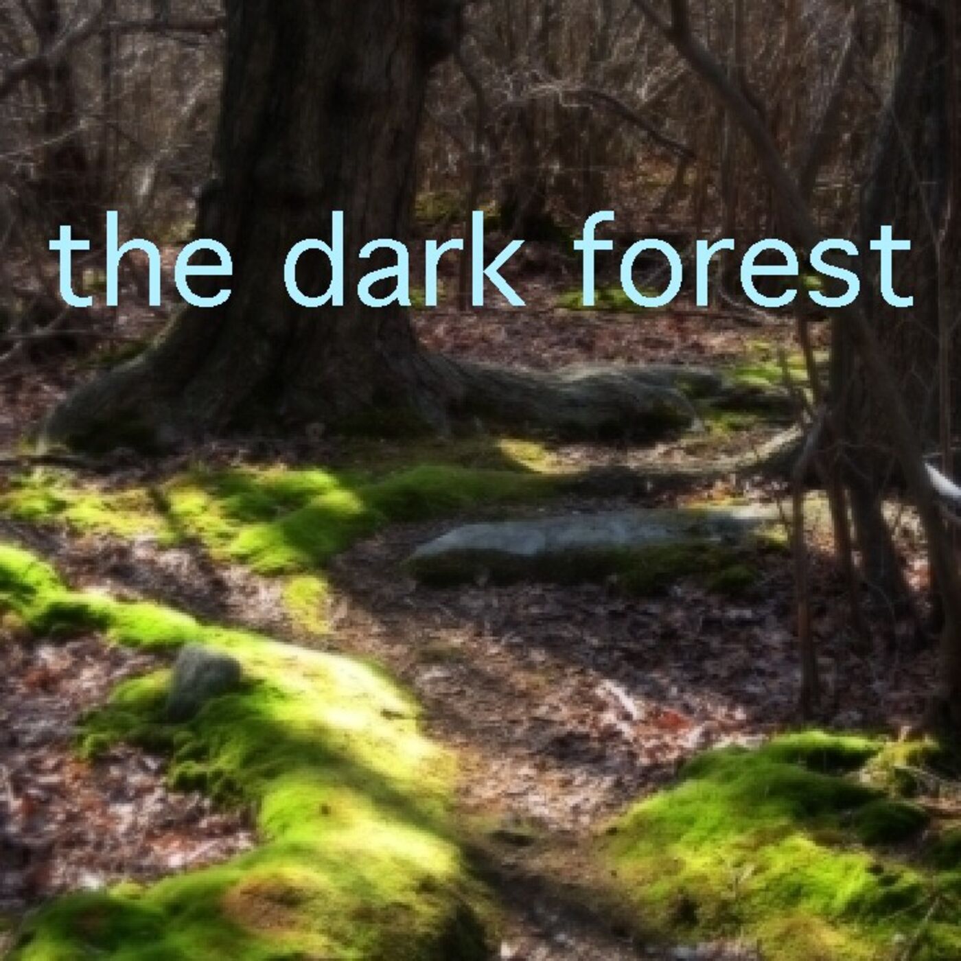 The Dark Forest 