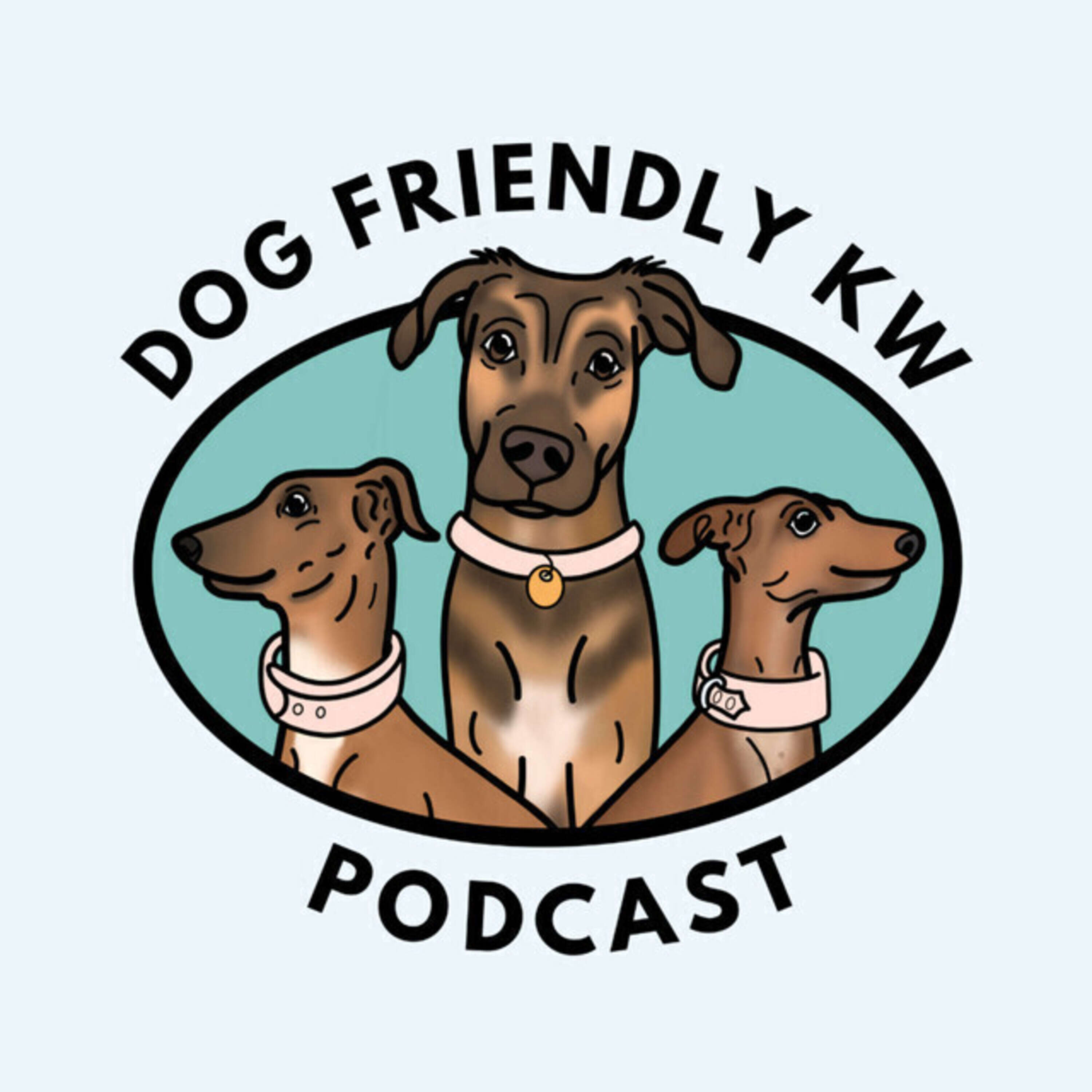 ⁣Dog Friendly KW Podcast: Volunteering & Working with Dog Friendly KW w/ Rachel Radyck