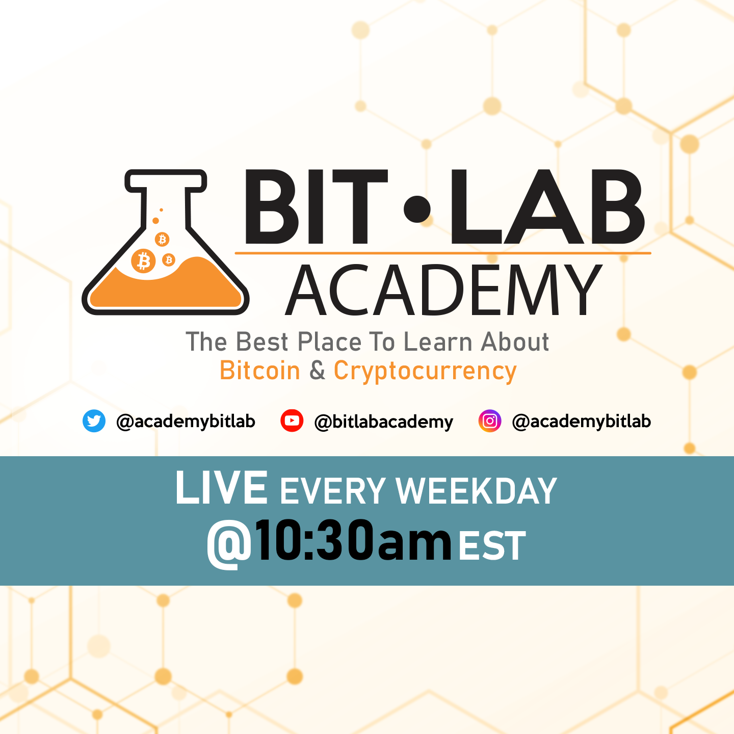 BitLab Academy 