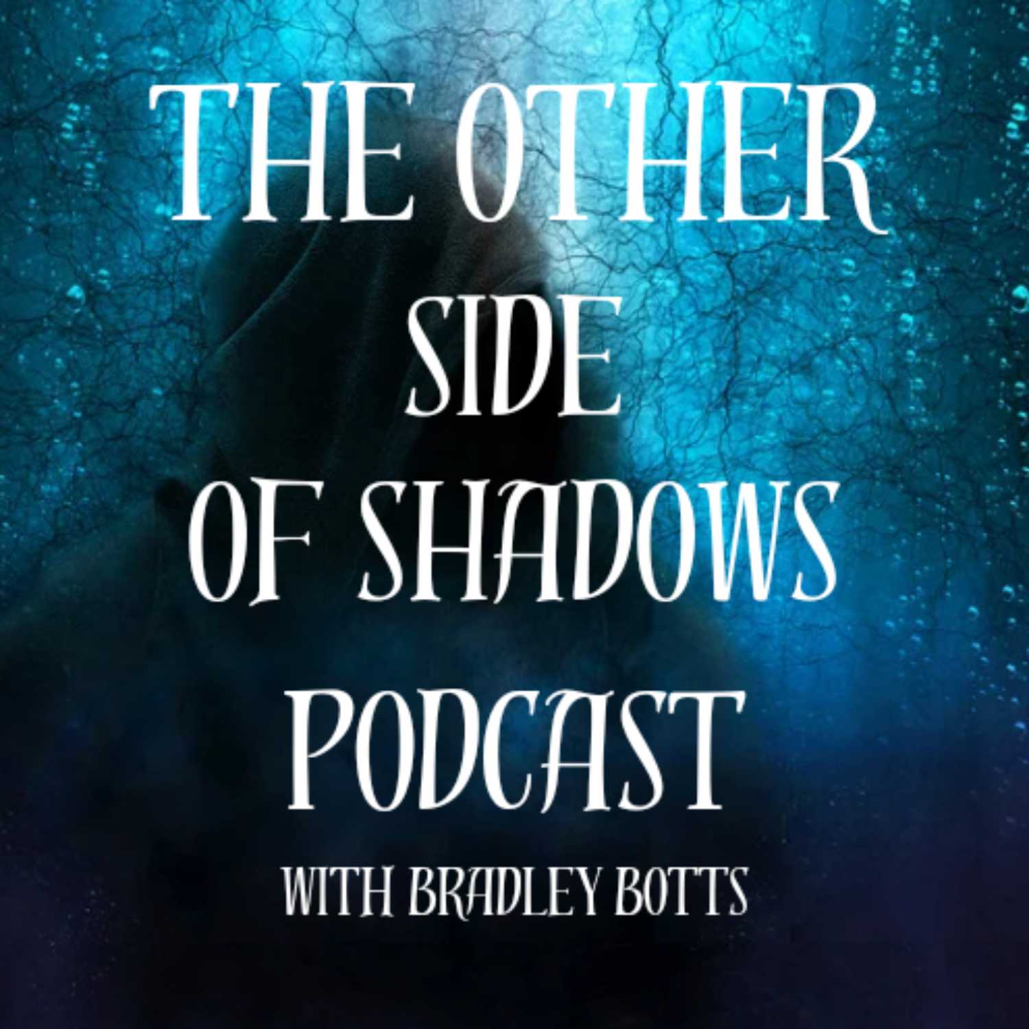 The Other Side of Shadows 