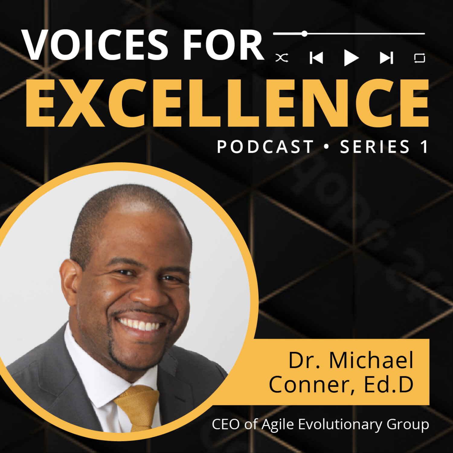 Voices for Excellence 