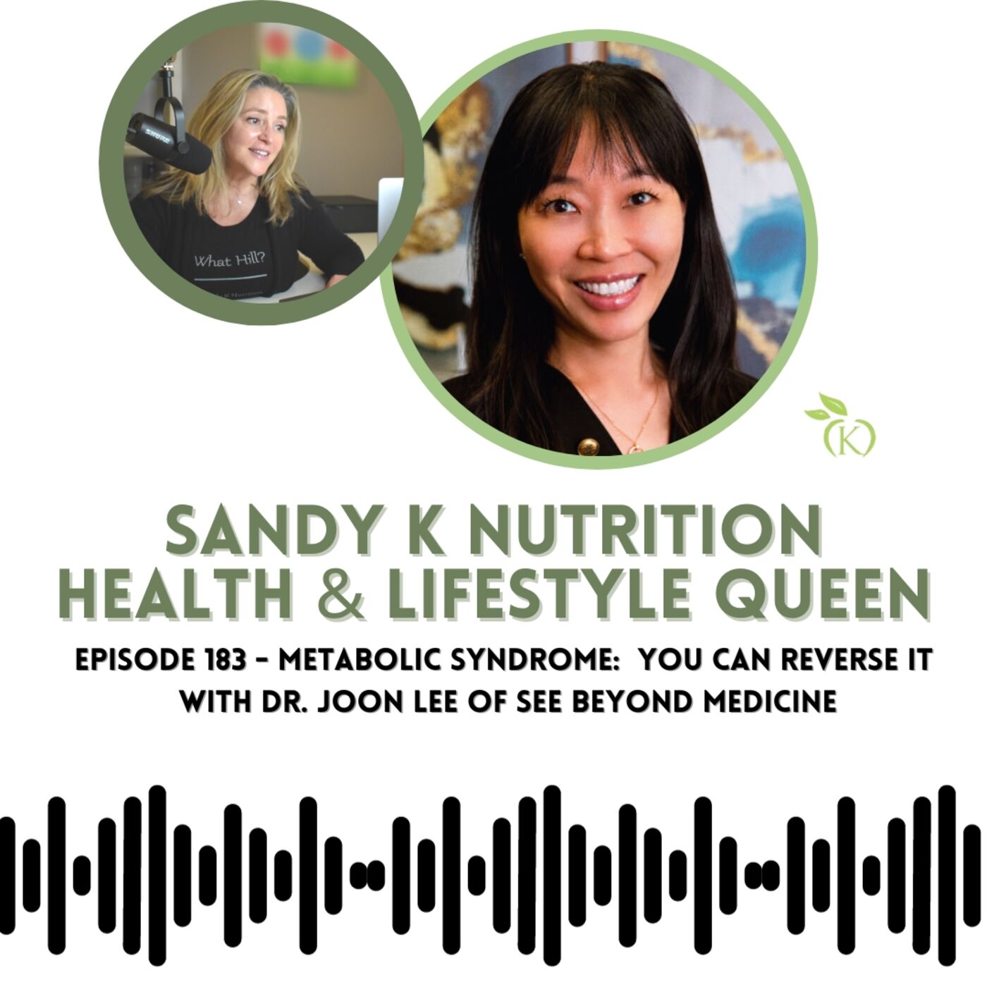 Episode 183 - Metabolic Syndrome: You CAN Reverse It with Dr. Joon Lee of See Beyond Medicine