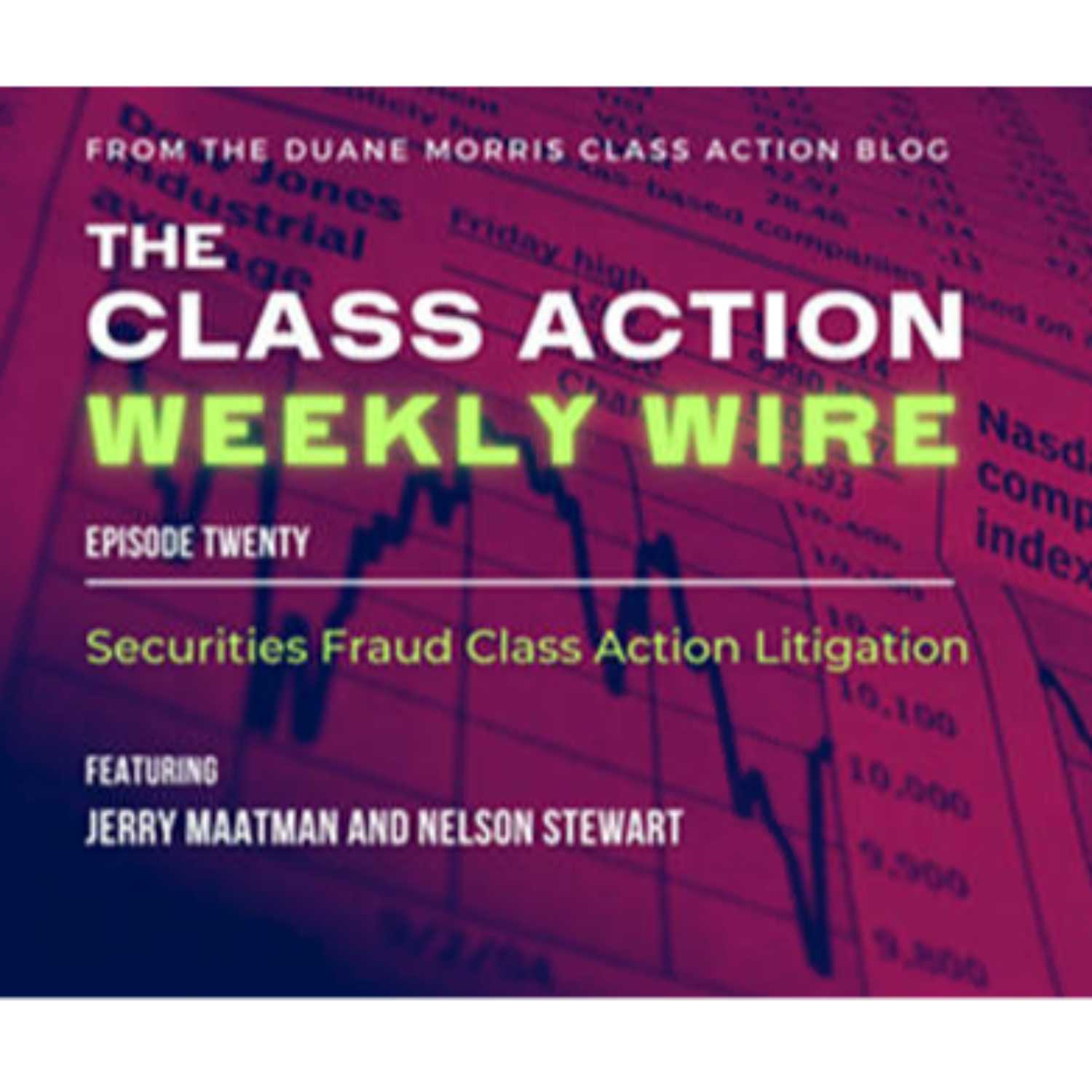 ⁣Episode 20: Securities Fraud Class Action Litigation