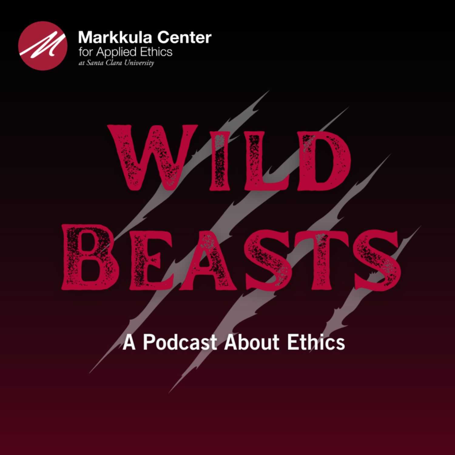 ⁣The Ethics of Voting: John Pelissero on Voting Rights and Voter Suppression