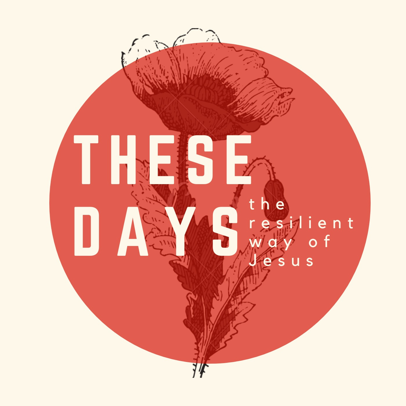 These Days: The Resilient Way of Jesus 