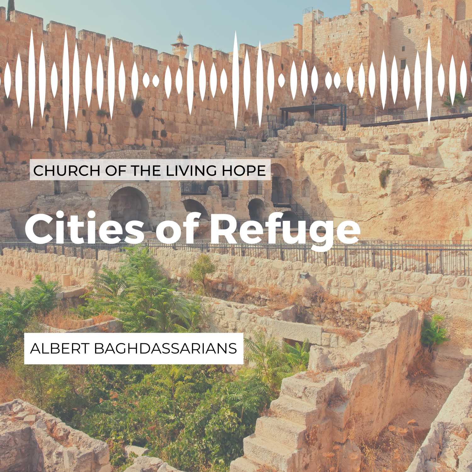 Cities of Refuge