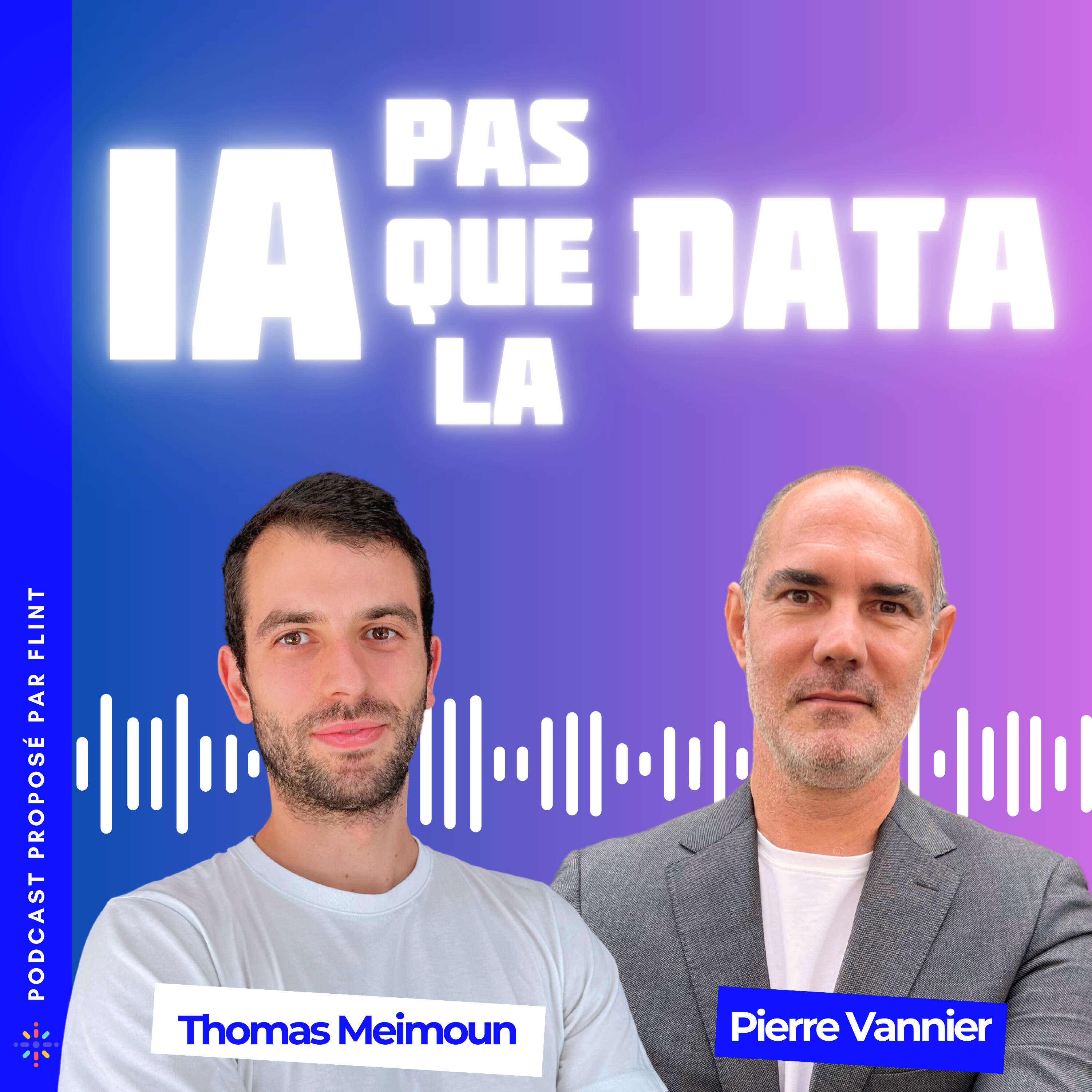 IA pas que la Data 