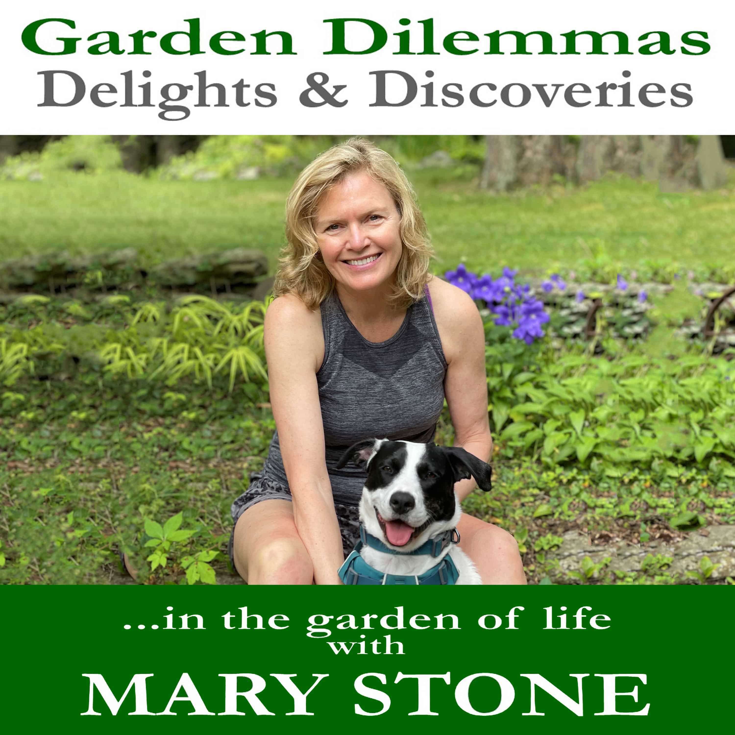 Garden Dilemmas, Delights & Discoveries 