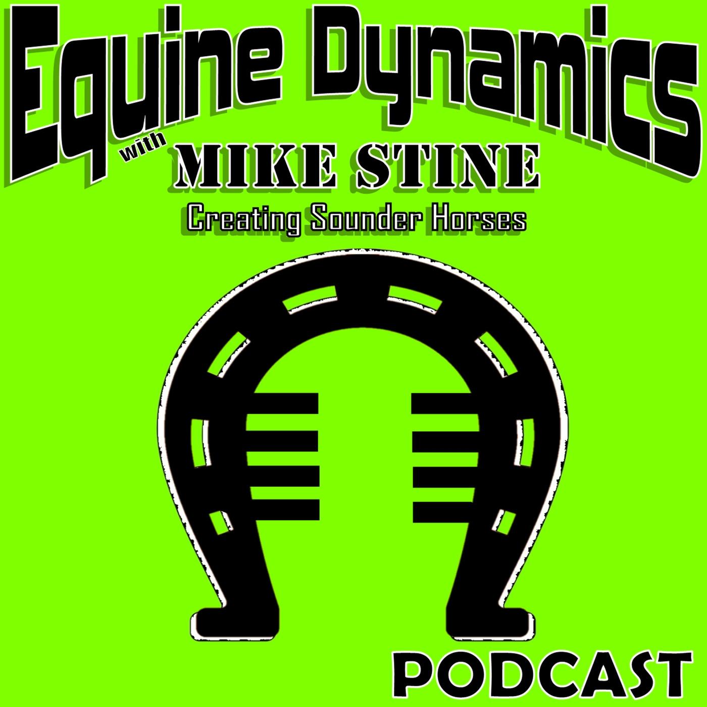 Equine Dynamics with Mike Stine 