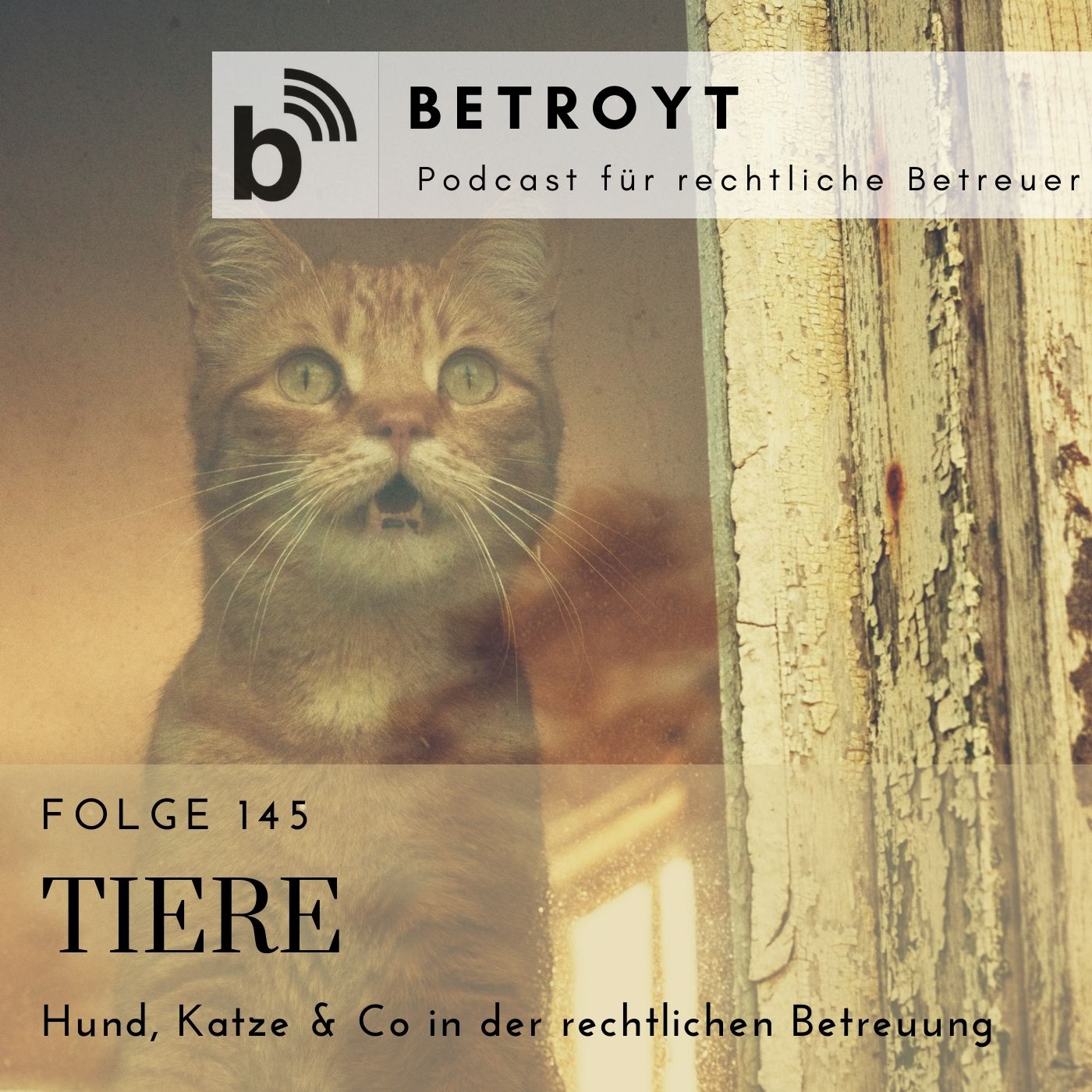 ⁣Folge 145 Tiere - Hund, Katze & Co in der rechtlichen Betreuung