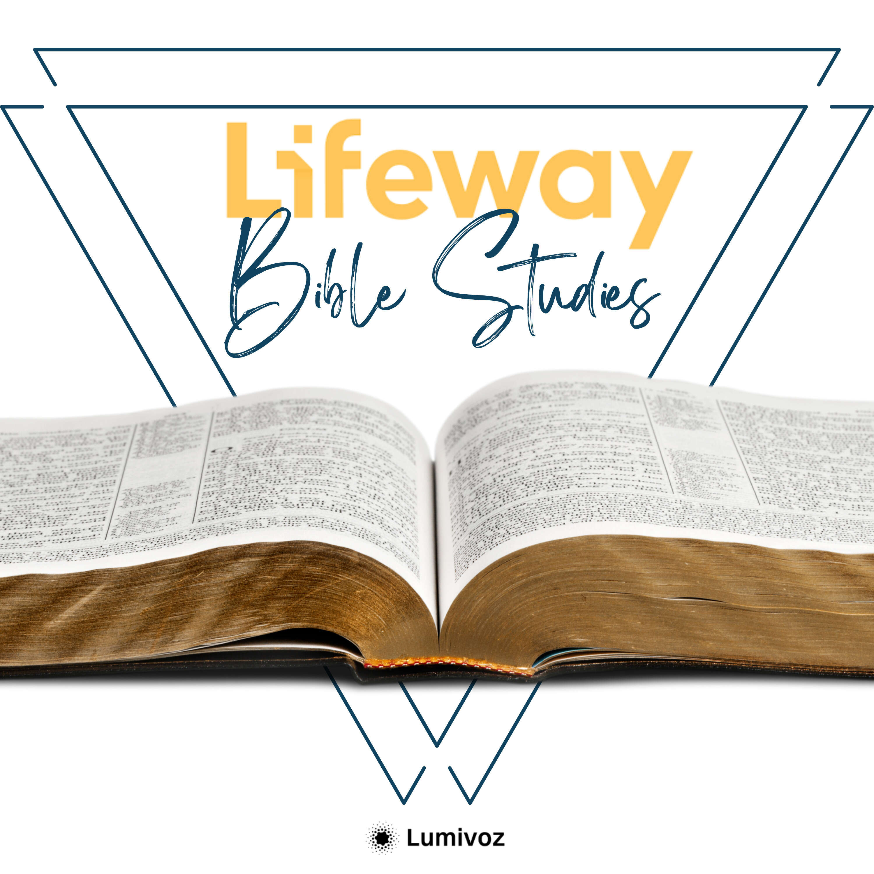 Lifeway Bible Studies 