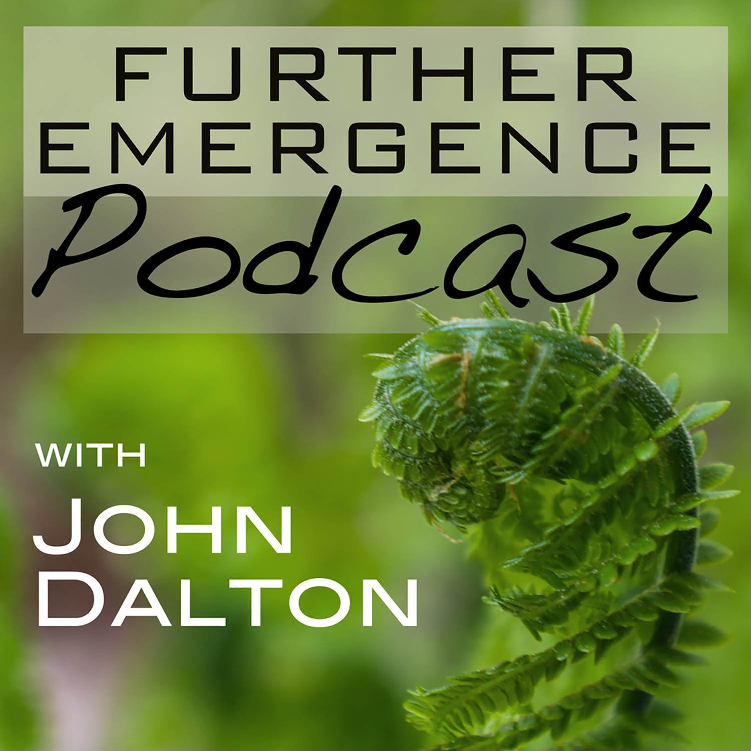 Further Emergence Podcast with John Dalton 