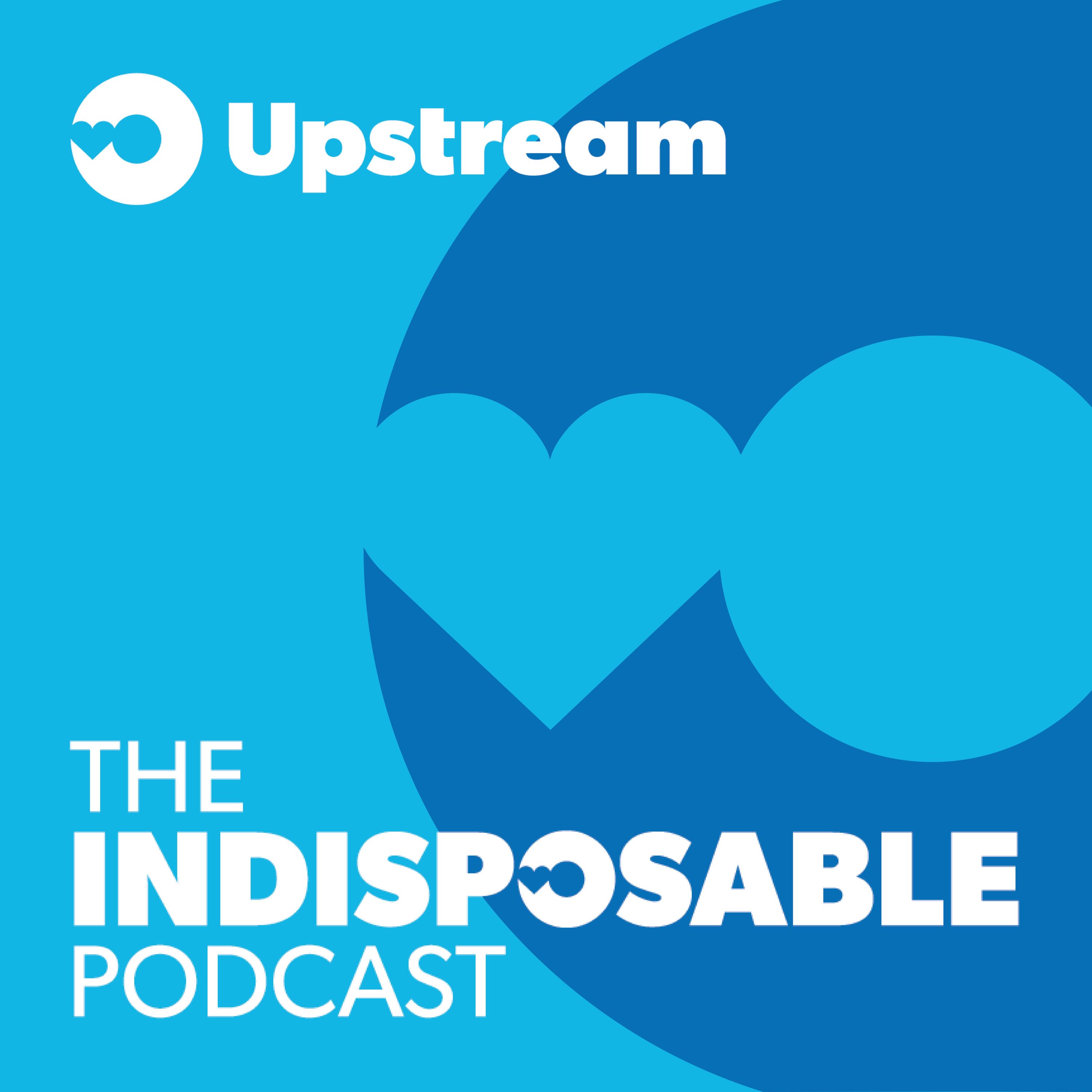 The Indisposable Podcast™ 